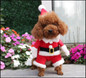 Pet Christmas Clothes