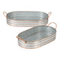 OBLONG GALVANIZED METAL TRAY DUO