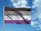 Asexual Pride Flag