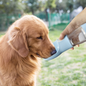 Portable Pet Water & Food Bottle