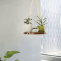 Macrame Plant Hanger - Decorative Flower Pot Holder, Indoor Hanging Planter Shelf,  Home Decor