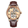 AESOP Male Men's Mechanical Watches Skeleton Tourbillon Leather Watch for Men Wristwatch Man Luxury Clock Mechanical Watch Men