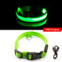 Anti-Lost/Avoid Car Accident Collar For Dogs