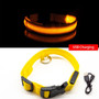 Anti-Lost/Avoid Car Accident Collar For Dogs