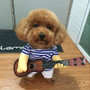 Funny Halloween Guitar Pet Costume For Cat Or Dog