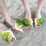 FISH FLOPS