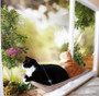 Cute Pet Hanging Beds Bearing 20kg Cat Sunny Seat Window Mount Pet Cat Hammock Comfortable Cat Pet Bed