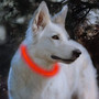 LED Rechargeable Dog Collar