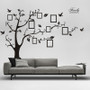 Family Photo Tree Wall Decal