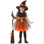 Halloween Witch Costume