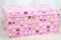 Double cover large capacity storage box