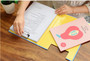 Stationery cute animals A4 folder papers papers folder plywood office supplies