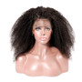 Brazilian Afro Curl Lace Front Wigs For Black Women 8-24Inch Pre Plucked With Baby Hair Remy Human Hair Wig Free Shipping