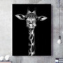 Safari Animals Print