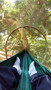 Mosquito Net Hammock