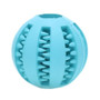 PET RUBBER TOY BALL