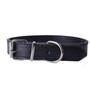 Fashion PU Leather Dog Collar