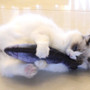 USB Charging Flopping Fish Cat Toy