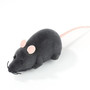 Wireless Remote-Controlled Toy Rat