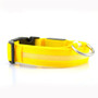 Dog LED Collar Light Night