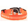 Dog LED Collar Light Night