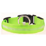 Dog LED Collar Light Night