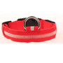 Dog LED Collar Light Night