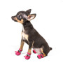 Dog Waterproof Shoes Anti-slip Boots