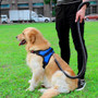 Dog Adjustable Harness