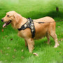 Dog Adjustable Harness