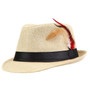 Feathers Trendy Fedora Hat