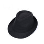 Vintage Fedora Hat