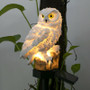 Home Outdoor Yard Owl Solar Light