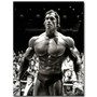 Modern Canvas Painting Arnold Schwarzenegger Bodybuilding Posters Motivational Quote Art Fitness Inspirational Wall Art Picture