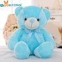 BIGG™ LED Teddy Bear