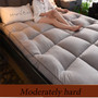 2020 New fashion 10cm thick velvet mattress Home dormitory soft mattress foldable tatami single bed mattress cotton pad