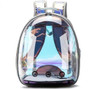 Cat or Small Dog Breathable Portable Transparent Carrier Backpack