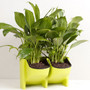 Flower Pot Wall Hanging Garden