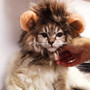 Funny Mane Cat Costume