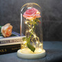 Beauty And Beast Rose