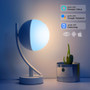 Smart Voice Lamp