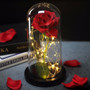 Beauty and the Beast Lamp - Enchanted Rose