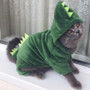 Funny Dinosaur Cat Costume
