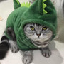 Funny Dinosaur Cat Costume