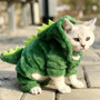 Funny Dinosaur Cat Costume