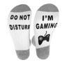 Do Not Disturb I'm Gaming Unisex Socks