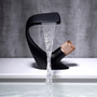Luxury Black Swan Faucet