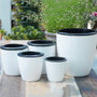 Self Watering Flower Pot