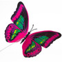 Butterfly 3D PVC Wall Stickers