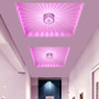 LED  Scattering Ceiling Light